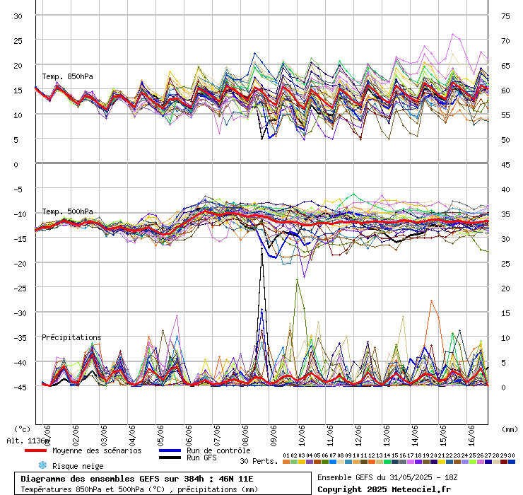 grafico diagramma gfs ensemble