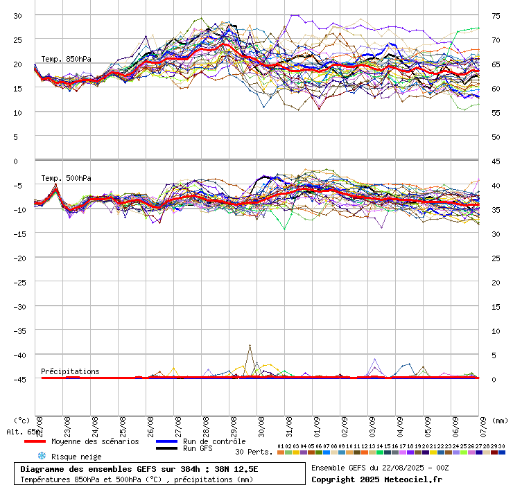 grafico diagramma gfs ensemble