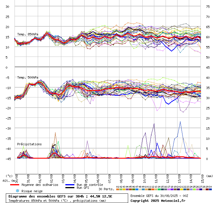 grafico diagramma gfs ensemble