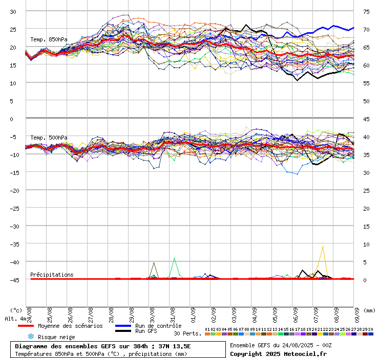 grafico diagramma gfs ensemble