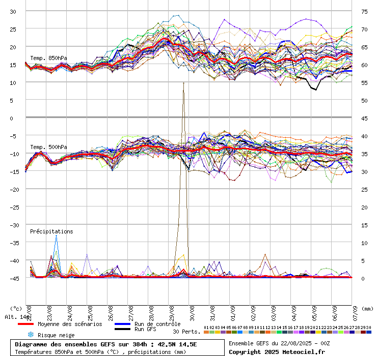 grafico diagramma gfs ensemble