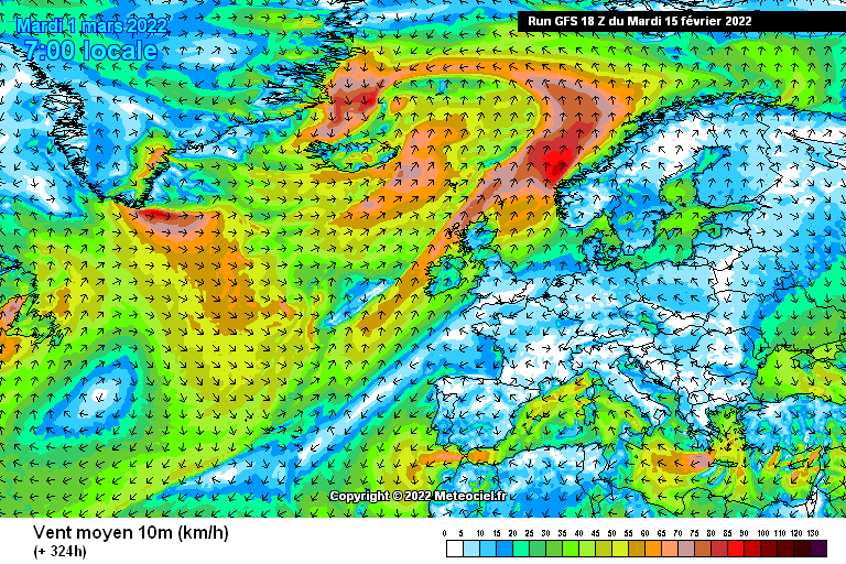 gfs-14-324.png?18